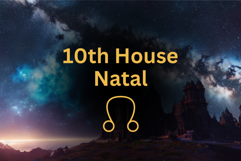 North Node in 10th House Natal