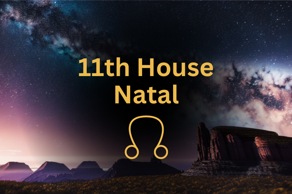 North Node in 11th House Natal