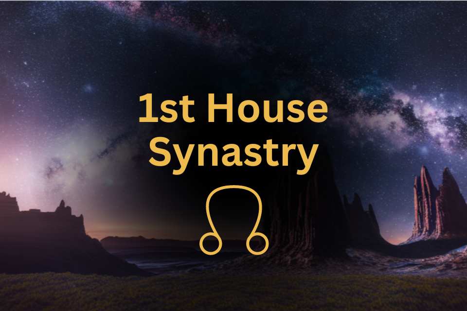 North Node in 1st House Synastry Meaning