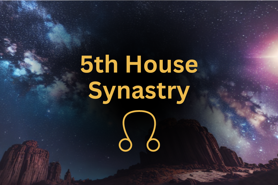 North Node in 5th House Synastry