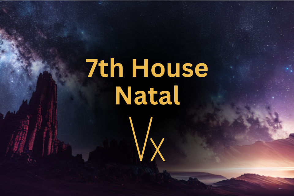 Vertex in 7th House Natal